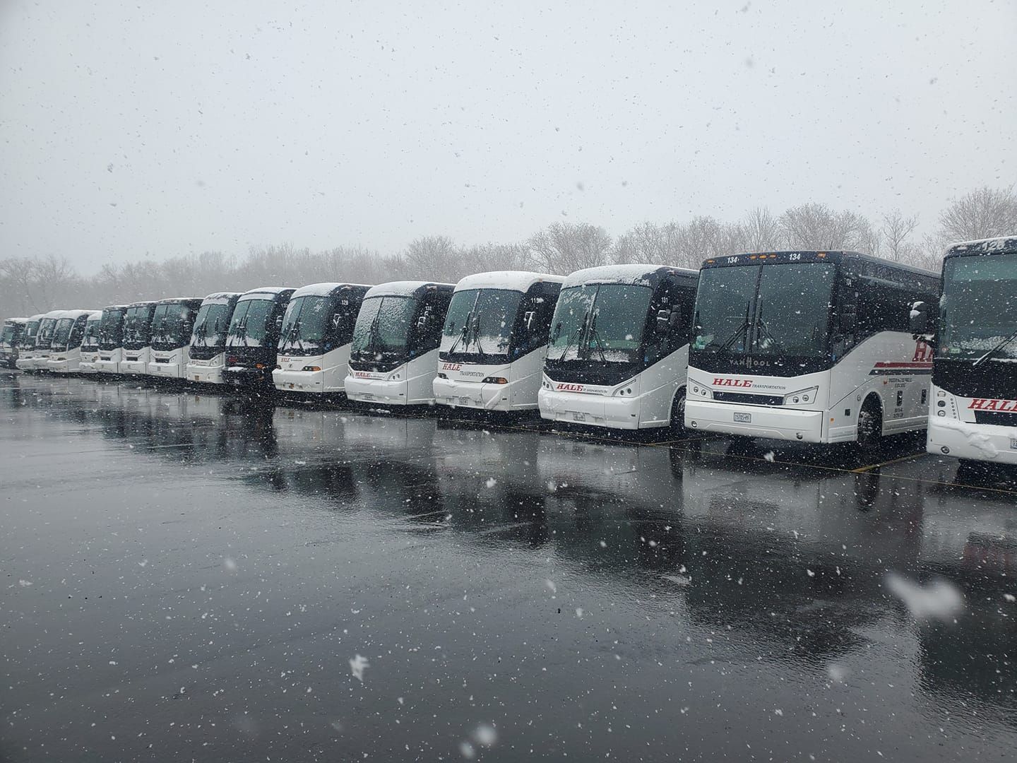 Hale busses in snowy parking lot